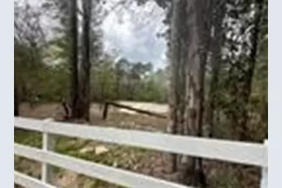 7389 Teaswood Drive, Conroe, TX 77304 - Photo 2