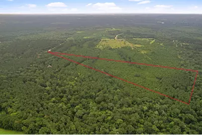 Tract 11 Fm 230, Lovelady, TX 77854 - Photo 8