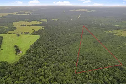 Tract 11 Fm 230, Lovelady, TX 77854 - Photo 12