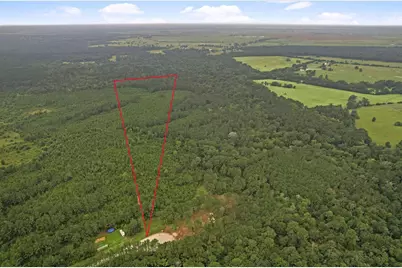 Tract 11 Fm 230, Lovelady, TX 77854 - Photo 10