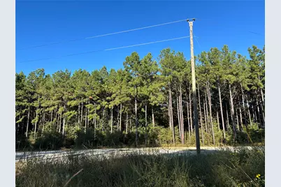 Tract 11 Fm 230, Lovelady, TX 77854 - Photo 6