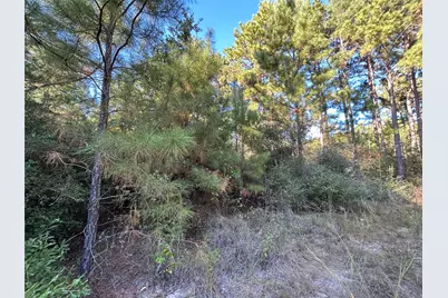 Tract 11 Fm 230, Lovelady, TX 77854 - Photo 4