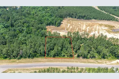 15981 Four Hills Road, Willis, TX 77378 - Photo 4