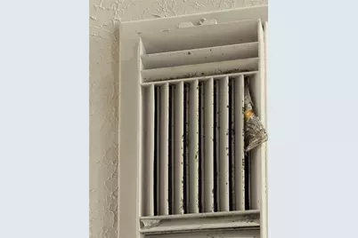 16323 Peach Orchard Drive, Humble, TX 77396 - Photo 34