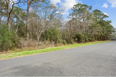 0 Lake Charlotte Road, Wallisville, TX 77597 - Photo 4