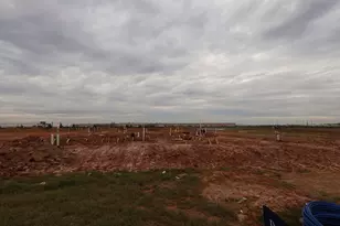 31514 Bluebell Ave, Fulshear, TX 77423 - Photo 14