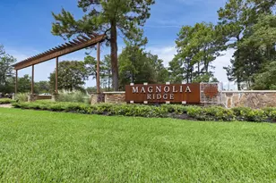 229 Douglas Hls Dr, Magnolia, TX 77354 - Photo 14