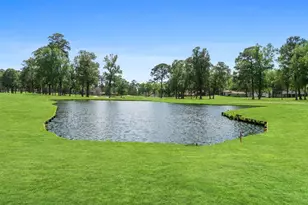 12500 Melville Dr, Montgomery, TX 77356 - Photo 20