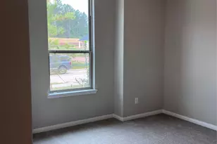 26164 Treetop Ter Ln, Montgomery, TX 77316 - Photo 12