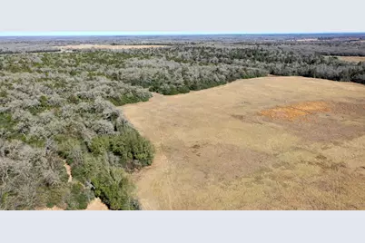 Tbd Cr 328, Tract 7, 10 Acres, Caldwell, TX 77836 - Photo 18