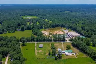 22573 Morgan Cemetery Rd Lot 1, Cleveland, TX 77328 - Photo 10