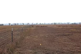 12240 Farm Market 1383, Schulenburg, TX 78956 - Photo 20