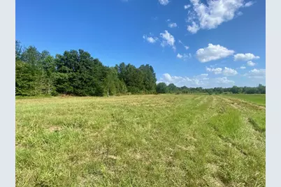 Lot #133 Jb McDuff Drive, Crockett, TX 75835 - Photo 8