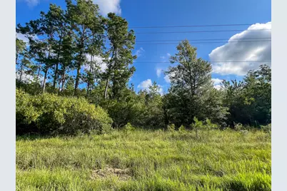 5 Fm 1013, Kirbyville, TX 75956 - Photo 6