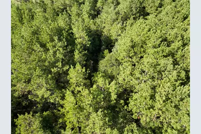 5 Fm 1013, Kirbyville, TX 75956 - Photo 10