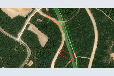 15422 Forest Grove Drive, Willis, TX 77378 - Photo 2
