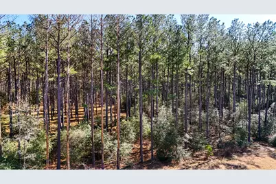 15422 Forest Grove Drive, Willis, TX 77378 - Photo 8