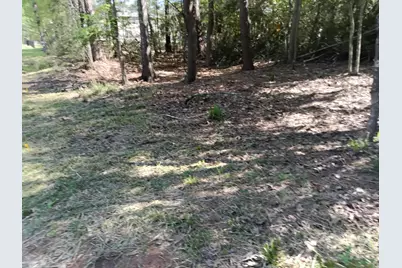 1004 White River Road, Conroe, TX 77316 - Photo 2