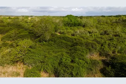 000 County Road 464, Blessing, TX 77419 - Photo 2