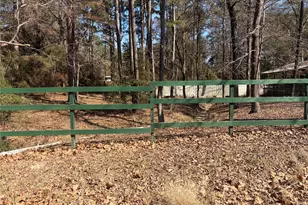 242 Elm Trail, Trinity, TX 75862 - Photo 4