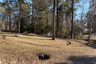 242 Elm Trail, Trinity, TX 75862 - Photo 2