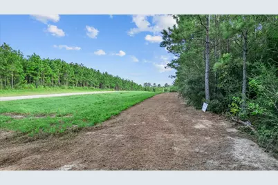 16230 Ridge Oak Road, Willis, TX 77378 - Photo 6
