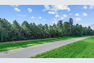 16230 Ridge Oak Road, Willis, TX 77378 - Photo 10