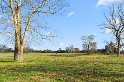 Tbd Shaws Bend Rd, Columbus, TX 78934 - Photo 8