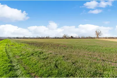 Tbd Shaws Bend Rd, Columbus, TX 78934 - Photo 30