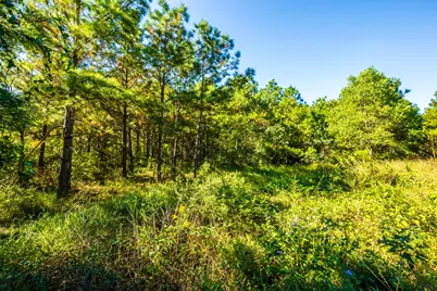 South Main St S Main, Anahuac, TX 77514 - Photo 16
