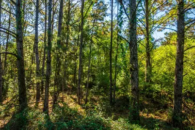 South Main St S Main, Anahuac, TX 77514 - Photo 32