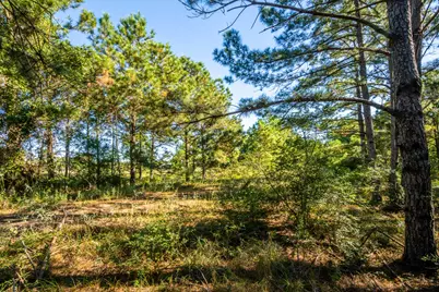 South Main St S Main, Anahuac, TX 77514 - Photo 30