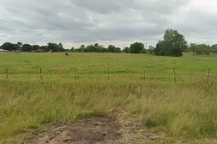 31954 Rochen Rd Waller Tx, Waller, TX 77484 - Photo 4