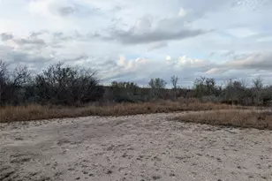 621 County Rd 356, Kenedy, TX 78119 - Photo 8