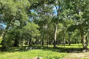 30106 Huffman Cleveland Rd, Huffman, TX 77336 - Photo 8