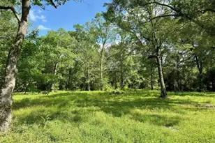 30106 Huffman Cleveland Rd, Huffman, TX 77336 - Photo 6