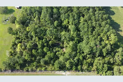 4925 County Road 435, Alvin, TX 77511 - Photo 6