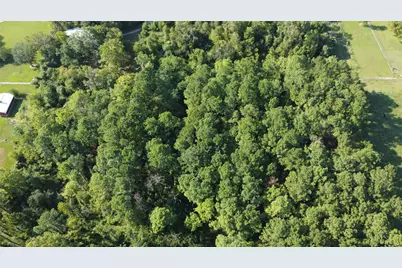 4925 County Road 435, Alvin, TX 77511 - Photo 10