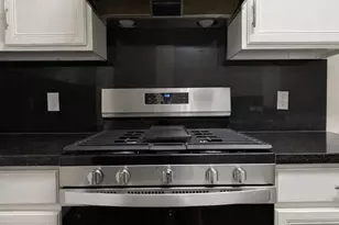 10130 Williams Field Dr, Houston, TX 77064 - Photo 4