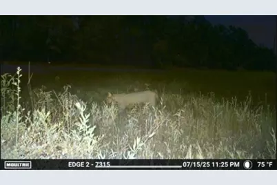 700 Pr 8160, Lovelady, TX 75851 - Photo 26