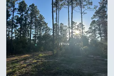 700 Pr 8160, Lovelady, TX 75851 - Photo 14