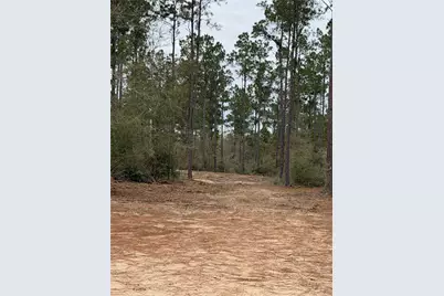 700 Pr 8160, Lovelady, TX 75851 - Photo 32