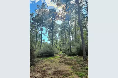 700 Pr 8160, Lovelady, TX 75851 - Photo 4