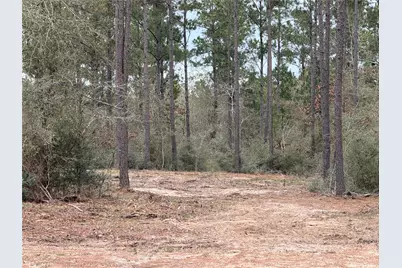 700 Pr 8160, Lovelady, TX 75851 - Photo 2