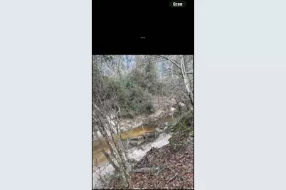 700 Pr 8160, Lovelady, TX 75851 - Photo 20