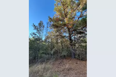 700 Pr 8160, Lovelady, TX 75851 - Photo 8