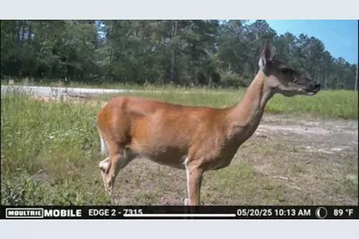 700 Pr 8160, Lovelady, TX 75851 - Photo 28