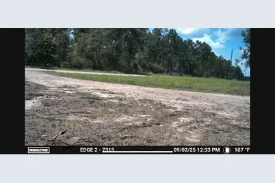 700 Pr 8160, Lovelady, TX 75851 - Photo 18