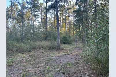 700 Pr 8160, Lovelady, TX 75851 - Photo 8