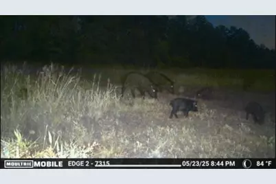 700 Pr 8160, Lovelady, TX 75851 - Photo 28